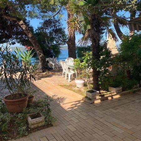 Seaside Apartment Padre Bibinje Exterior photo